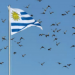 Uruguay sigue siendo el país sudamericano con los niveles más bajos de corrupción