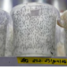 Empresa respaldada por Bill Gates libera miles de mosquitos modificados genéticamente
