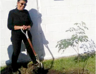 Mes del Adulto Mayor: Se plantó un árbol en cada centro de barrio