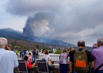 Palma: horror, dolor, consternación