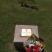 Día Mundial en Recuerdo de las Víctimas de Accidentes de tránsito