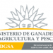 El MGAP autoriza el pastoreo en la vía pública en cinco seccionales de Tacuarembó