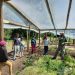 Proyecto semillas de soberanía en escuelas de Tacuarembó 
