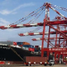 Las exportaciones agropecuarias superaron los U$S 8.000 millones