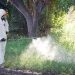 Advertencia a la población: fumigadores no autorizados