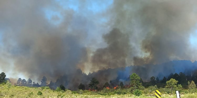 El basurero municipal continúa amenazado por el fuego