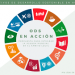La Intendencia de Rivera participa del Proyecto ODS Municipal