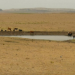 Fondo Agropecuario de Emergencia habilitado para establecimientos en zona de emergencia agropecuaria