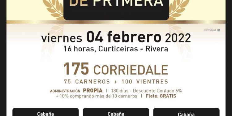 Exitoso inicio de la Zafra de reproductores lanares.