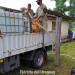 Apoyo con agua potable en Rivera