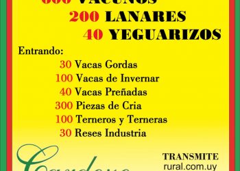 Muy buena subasta de Escritorio Cardozo en Vichadero