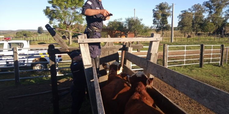 Jefatura de policía de Tacuarembó informa sobre la seguridad rural