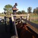 Jefatura de policía de Tacuarembó informa sobre la seguridad rural