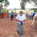 Buenos valores en feria de Manuel Ramos en Luján