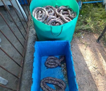 Policiales de Tacuarembó