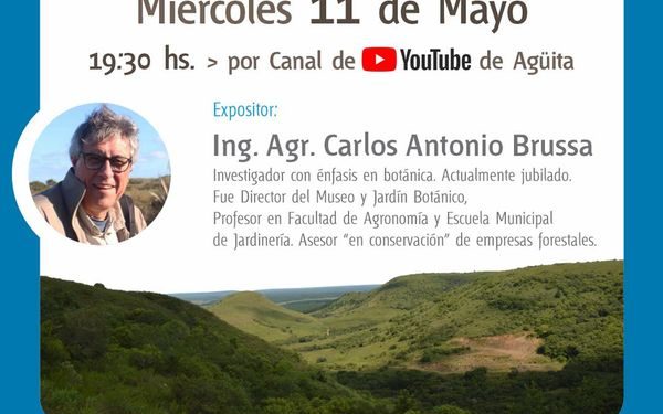Agüita: comprometidos con la naturaleza 