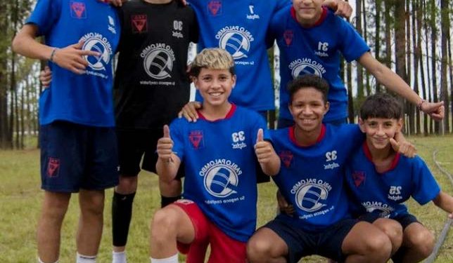 Vuelven a la competencia