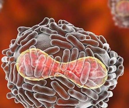 La OMS hizo un llamamiento a la colaboración regional y a no repetir errores de coronavirus