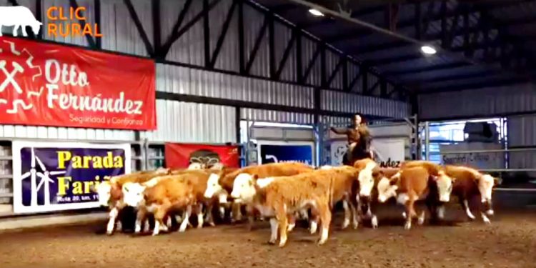 Muy buena Feria realizó Escritorio Otto Fernández en Local Parada Fariña 