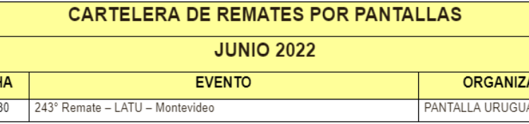 CARTELERA DE REMATES POR PANTALLAS