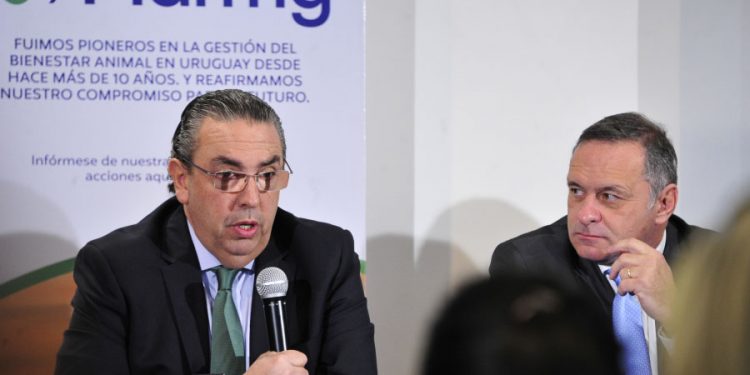 Marfrig lanzó herramienta para la medición de huella de carbono en ganadería