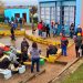 Se realizó la segunda jornada de castraciones de perros y perras