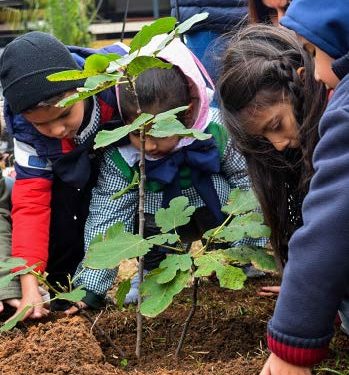 Niños plantaron una higuera en homenaje a Juana de Ibarbouru