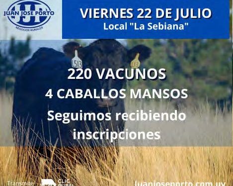 Menos oferta pero los valores siguen sostenidos en las ferias ganaderas