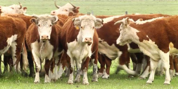 Curso gratuito de Peluquería, depilación y diseño de cejas