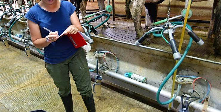 Al año Uruguay produce 2.000 millones de litros de leche y consume per cápita el doble que el resto del mundo