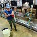 Al año Uruguay produce 2.000 millones de litros de leche y consume per cápita el doble que el resto del mundo