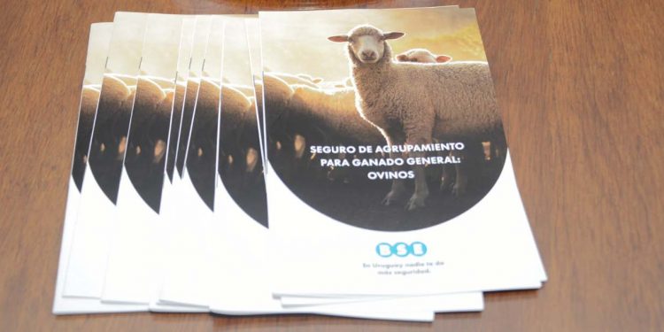 Ganadería facilitará acceso a seguro para pequeños productores ovinos mediante subsidio