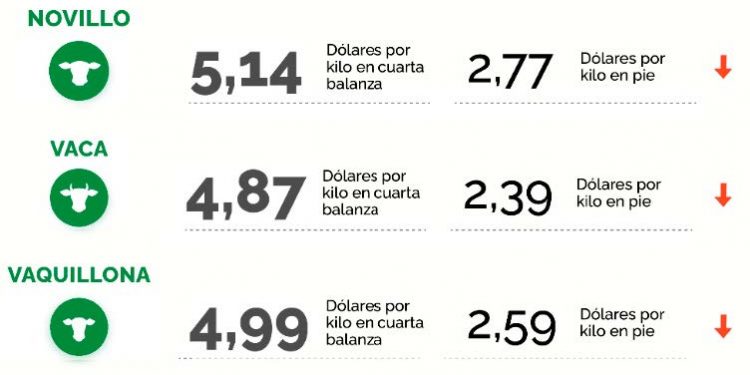 Mercado ganadero sigue en formación; se modera la baja