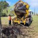 Laguna de las Lavanderas está en plena reforestación