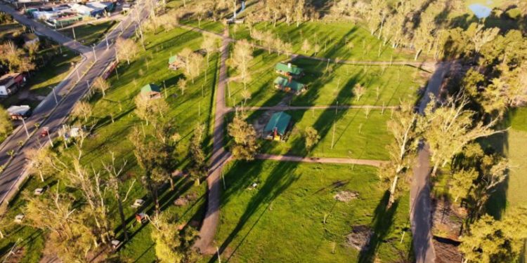 Laguna de las lavanderas con nuevos árboles