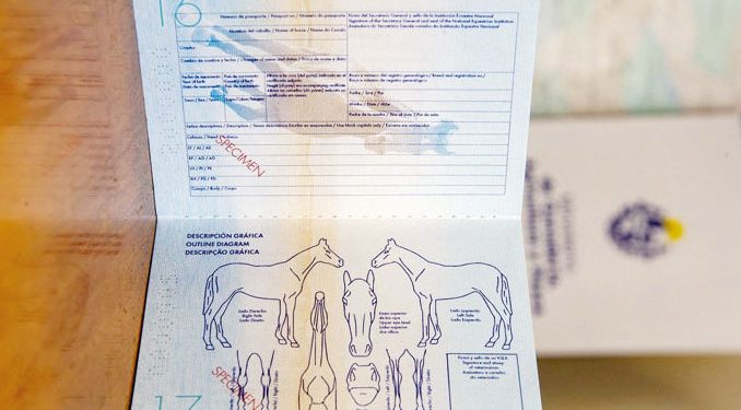En el 2023 regirá el nuevo pasaporte único para caballos