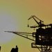 El petróleo está cayendo… ¿y los combustibles en Uruguay?