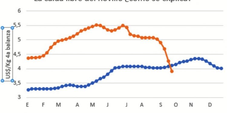 El derrumbe del novillo en 2019 y 2022