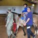 Equinos rescatados son entregados para Equinoterapia en Rivera