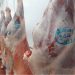 Ovinos de carcasas pesadas no tienen colocación