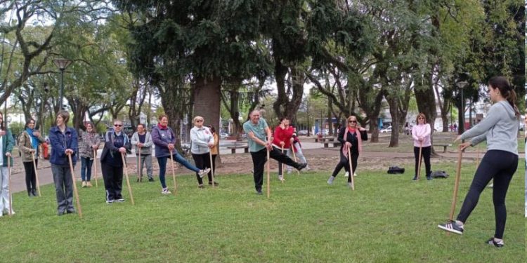 Servicio de fisioterapia gratuita para adultos mayores tiene alta adhesión