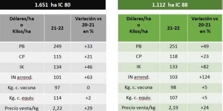 Empresas ganaderas registraron su mejor resultado económico histórico