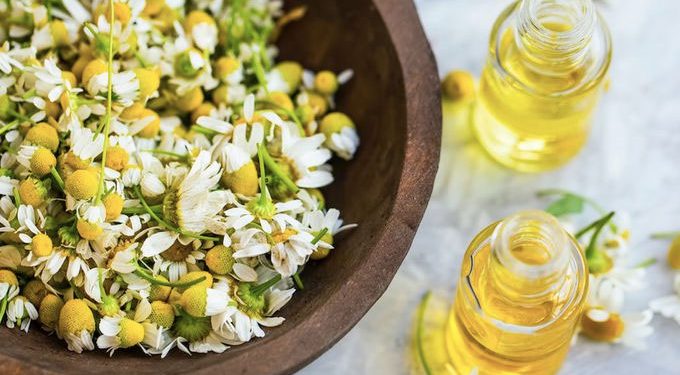 Plantas con increíbles propiedades sobre la piel que querrás tener en tu cocina