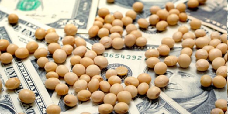 Argentina oficializa un tipo de cambio especial para agroexportadores de soja