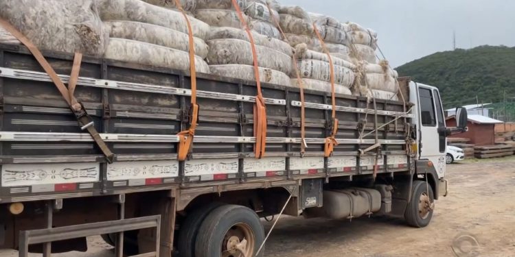 Lanas certificadas por A.R.C.O. en Brasil serán exportadas a Uruguay