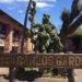 Museo Carlos Gardel se inaugurará este 15 de diciembre