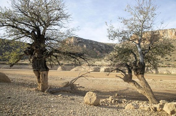 ONU recalca importancia del agua para alcanzar Agenda 2030 para el Desarrollo El 40 % de la población mundial se ve afectada por la escasez de agua