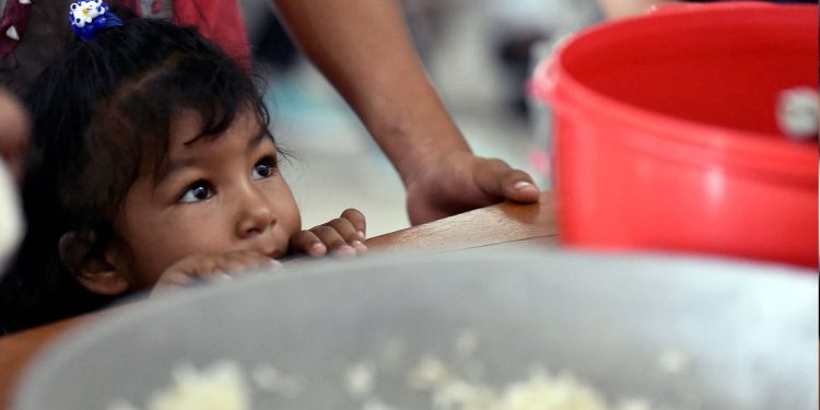 América Latina: millones padecen hambre en una región en la que sobran alimentos