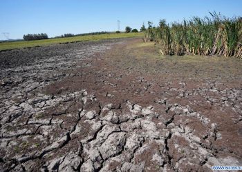 Gobierno apronta nuevas medidas para productores afectados por sequía y prende “luces largas”