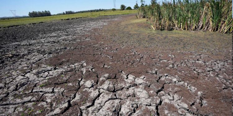 Gobierno apronta nuevas medidas para productores afectados por sequía y prende “luces largas”